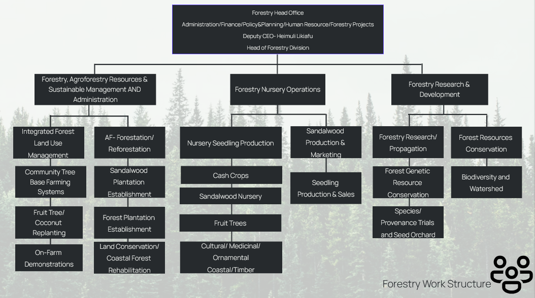 Structural-organization