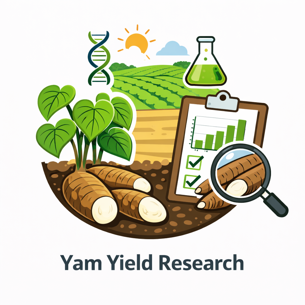 Yam Research